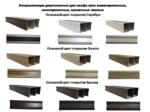 Направляющие двухполосные для шкафа купе ламинированные, шпонированные, крашенные эмалью Петропавловск